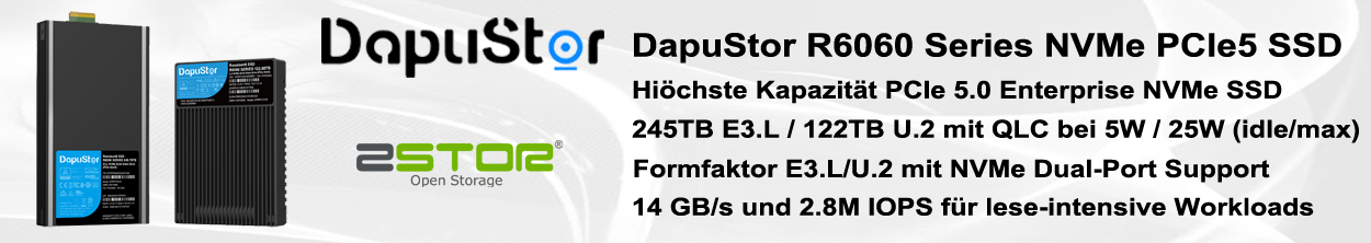 DapuStor R6060 High Capacity NVMe