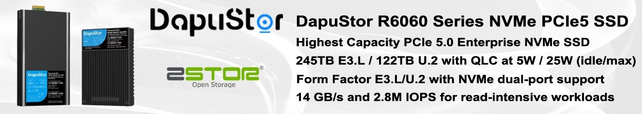 DapuStor R6060 High Capacity NVMe